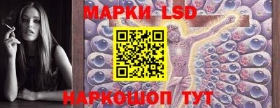 прущий лед Будённовск
