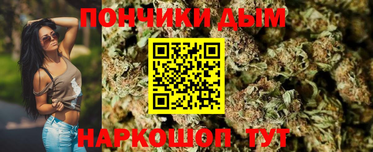 Бошки марихуана гибрид Нижний Новгород